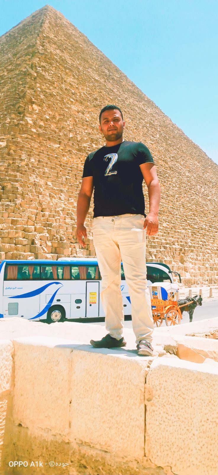 Alimohmed