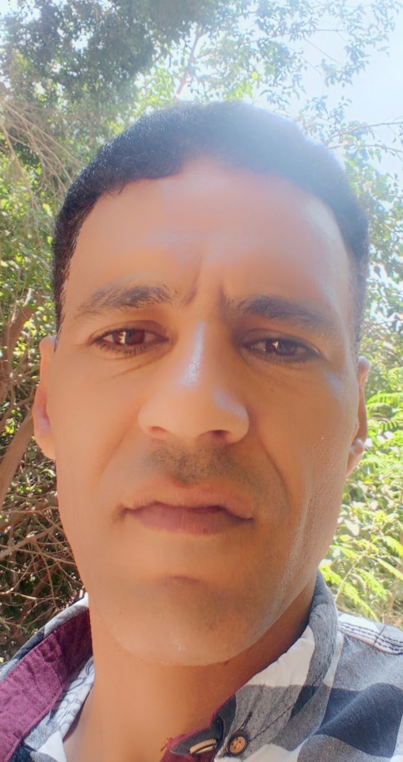 Mohamedyehia1982